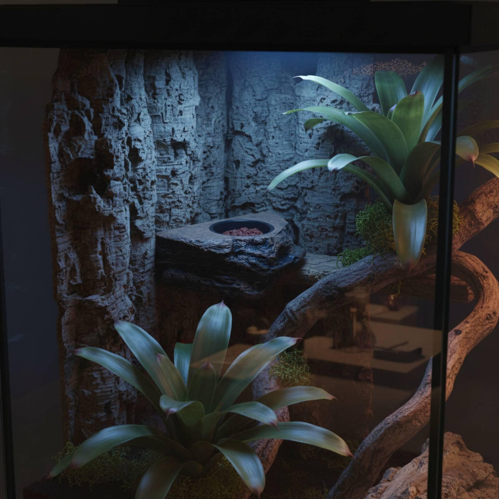 Water Dish Reptile - Gecko-Futter- und Wasserregal mit Verstellbarer Position,