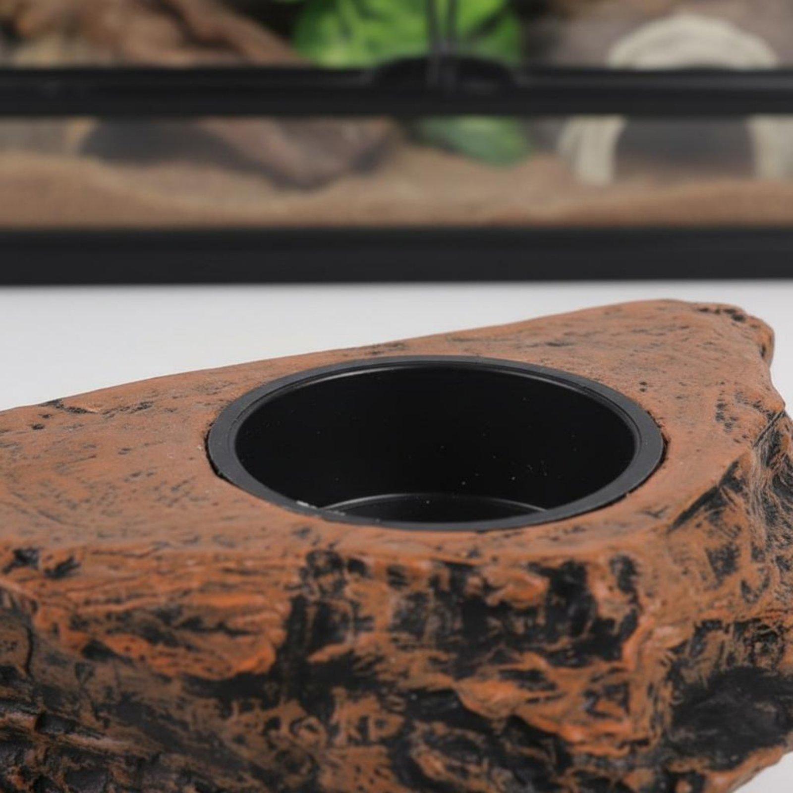 Gecko-Futter- und Wasserregal  – Water Dish Reptile Bewertung und Preis
