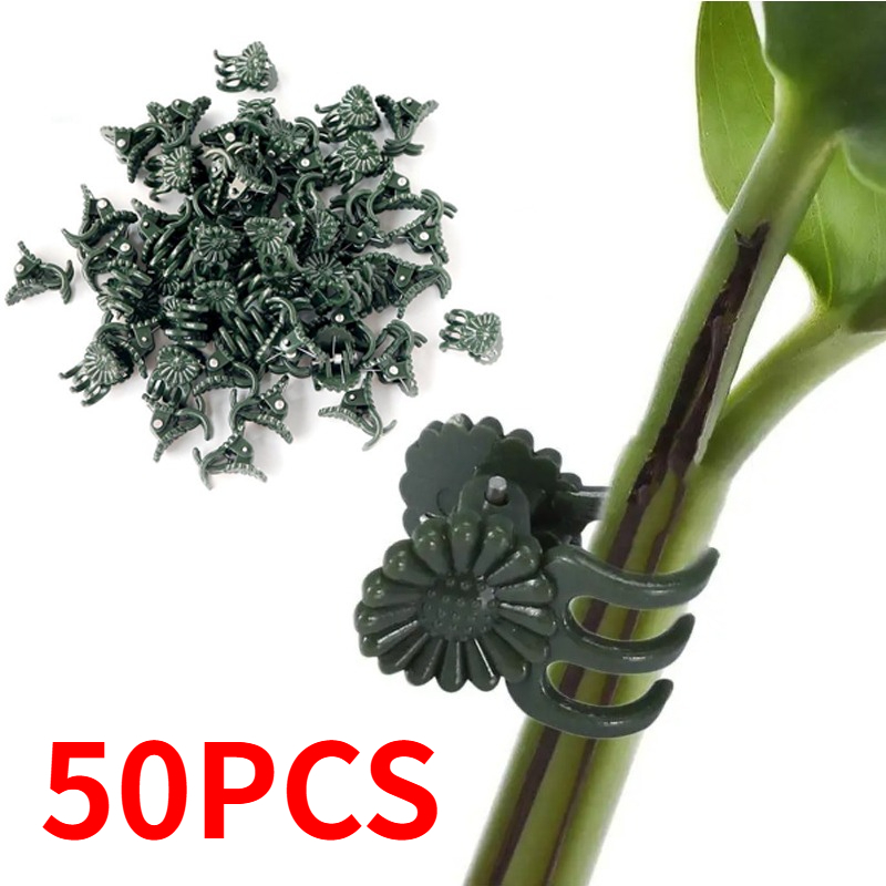 50 Stück 5-Klauen dunkelgrüne  – Vine Climbing Plastic Bewertung und Preis