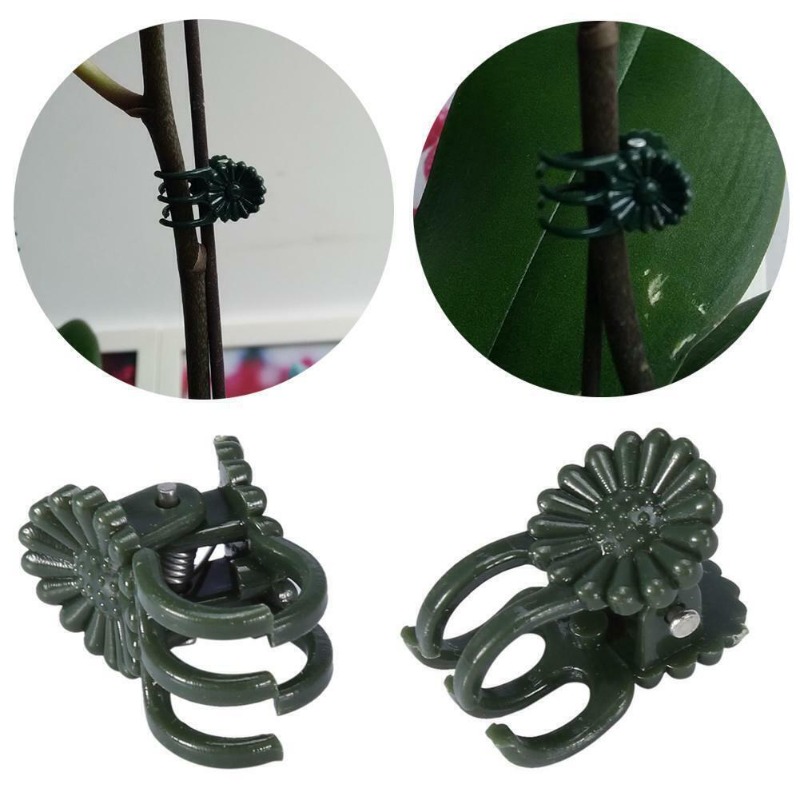 50 Stück 5-Klauen dunkelgrüne  – Vine Climbing Plastic Bewertung und Preis
