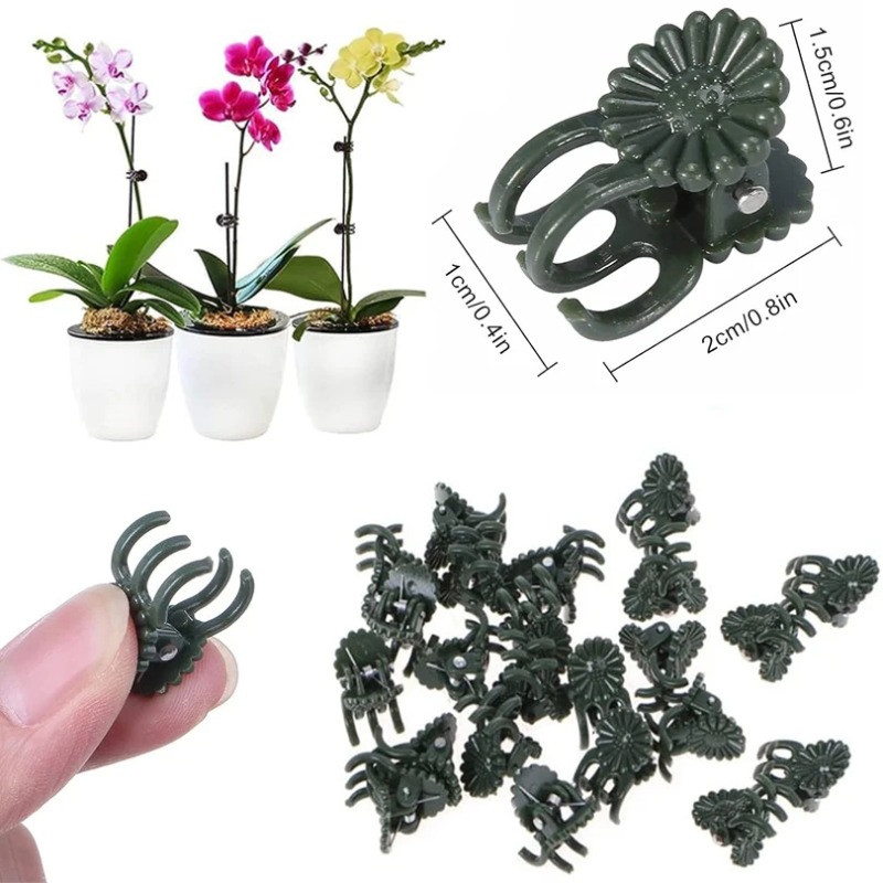 50 Stück 5-Klauen dunkelgrüne  – Vine Climbing Plastic Bewertung und Preis