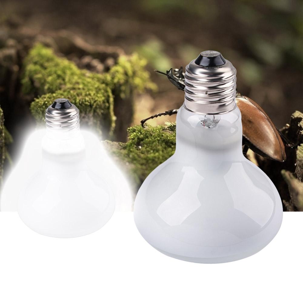 Schildkröten-Heizlampe Reptili – Basking Bulb Halogen Bewertung und Preis