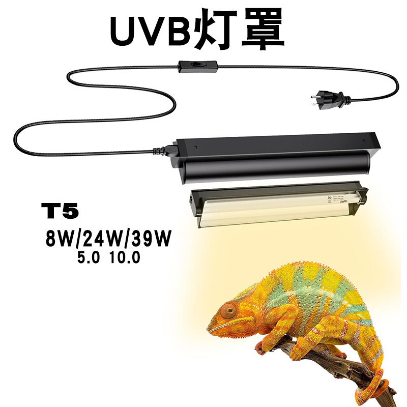 T5 UVB-Röhre mit integrierter  – Calcium Powder Reptile Bewertung und Preis